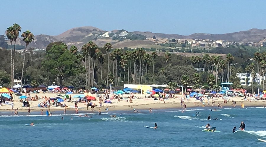 Doheny State Beach Surf Guide
