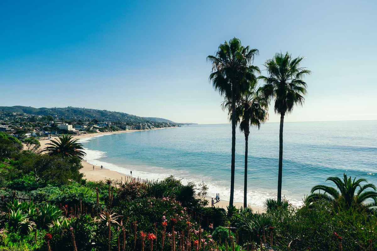 Rockpile and Main Beach Surf Guide