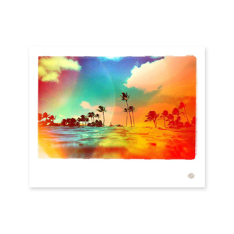 Matt Allen Tropics Medium Print