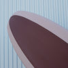 Ellis Ericson 5'7" Lite Kite Fish Surfboard