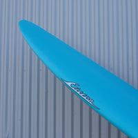 Ellis Ericson 5'10" Lite Kite Fish Surfboard
