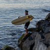 Birdwell x Brian Bent 310 Mens Boardshorts