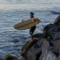 Birdwell x Brian Bent 310 Mens Boardshorts