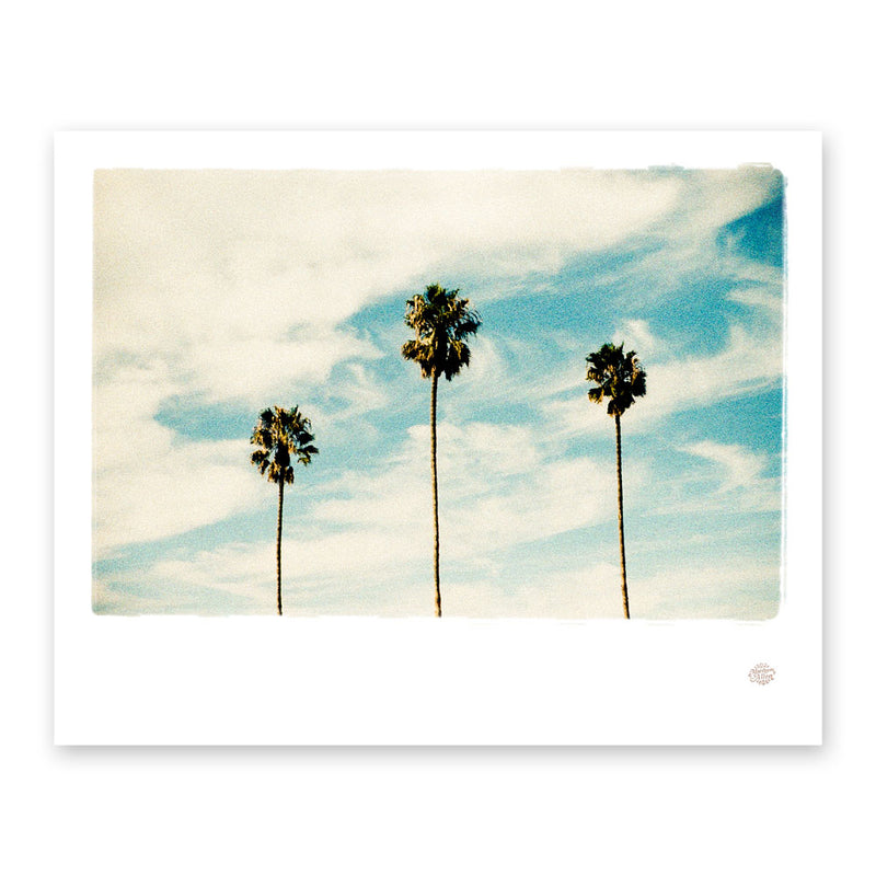 Matthew Allen Las Palmas Print