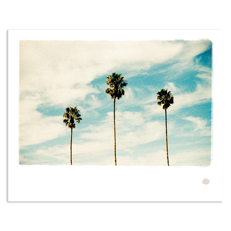 Matt Allen Las Palmas Print