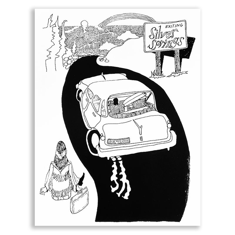 Smell the Flowers Arts 'Silver Springs' Print