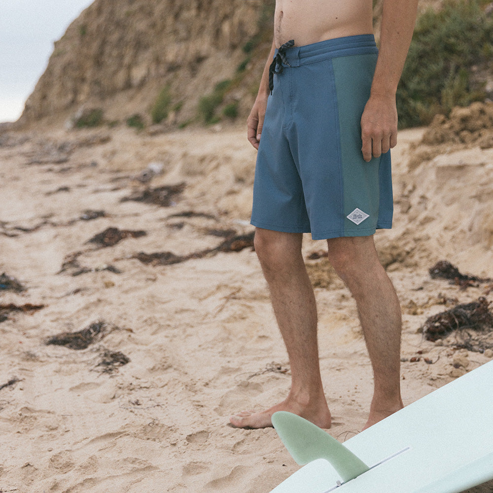 Thalia Surf Panel Mens Boardshorts
