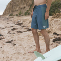 Thalia Surf Panel Mens Boardshorts