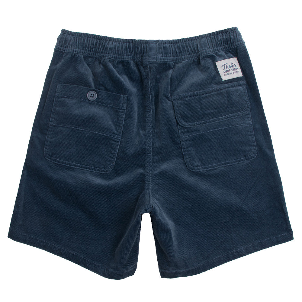 Thalia Surf Sidewalk Surfer Mens Walkshorts, Blue, view 2