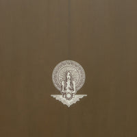 Tyler Warren 6'9" Big Fish Surfboard