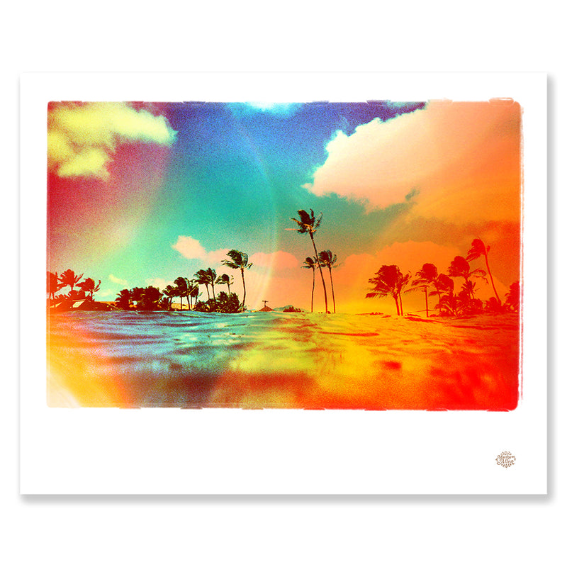 Matt Allen Tropics Print