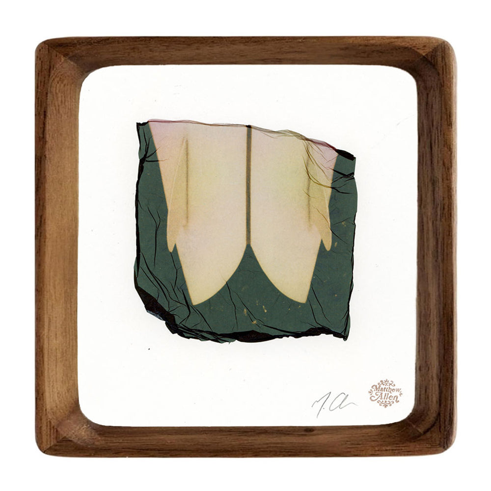 Matt Allen Twin Framed Original Artwork