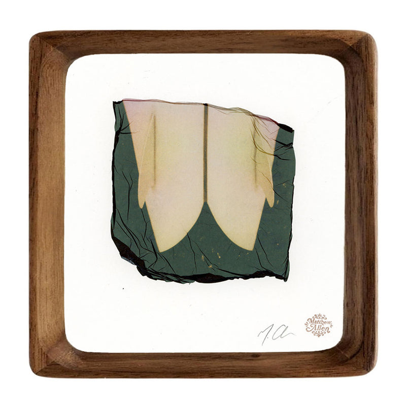 Matthew Allen Twin Framed Original Artwork, Multi