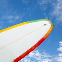 Gato Heroi 9'6" Playdate Surfboard